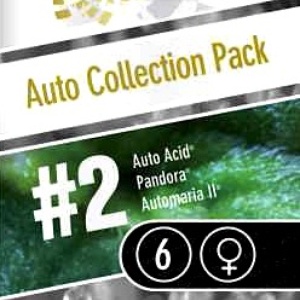 Auto Collection Pack #2