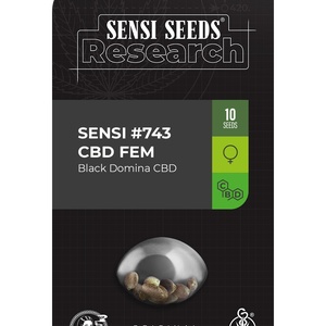Sensi #743 CBD - Black Domina CBD
