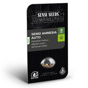Sensi Amnesia Automatic